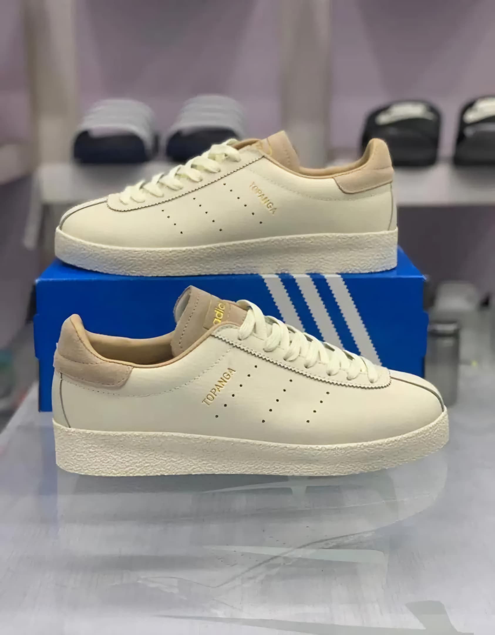 Adidas Topanga Cream Retro