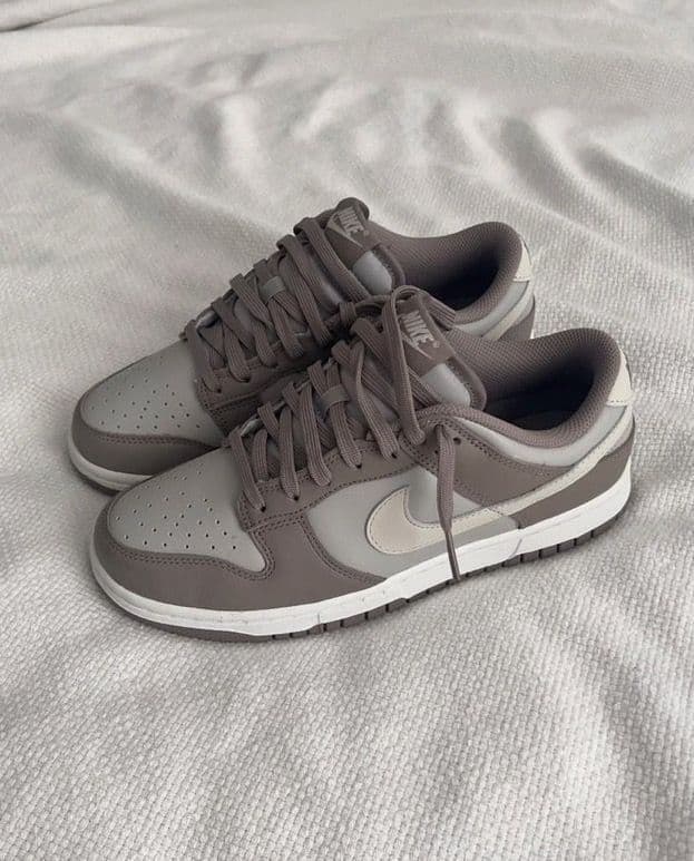 Nike Dunk Low Mink Grey