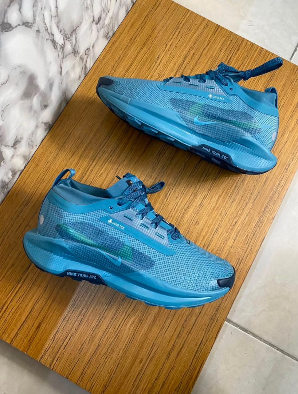 Nike Pegasus Trail GORE-TEX Blue